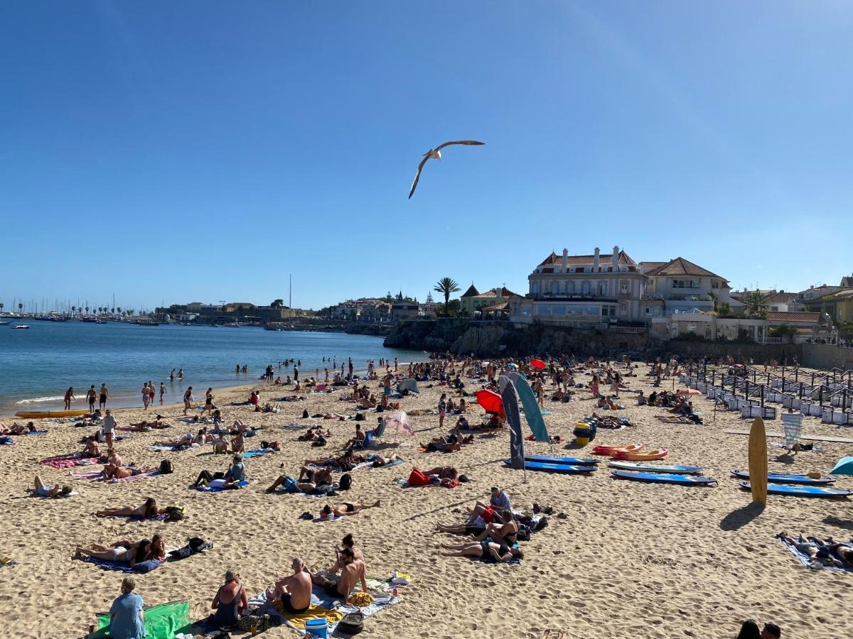 Apartament Lujoso Ap Con Piscina Frente Al Mar Віавіа Zewnętrze zdjęcie